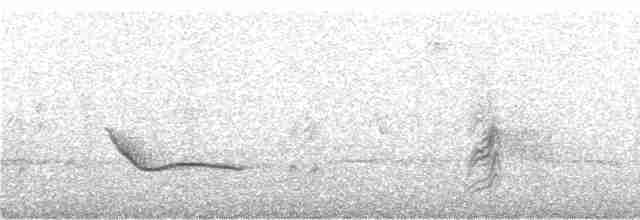 Gray-streaked Honeyeater - ML247380