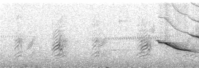 Gray-streaked Honeyeater - ML247381