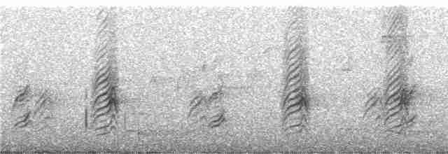 パプアモリツバメ - ML247382