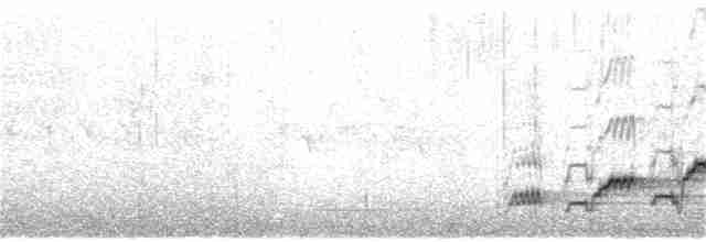 Дрізд-короткодзьоб Cвенсона - ML247407761