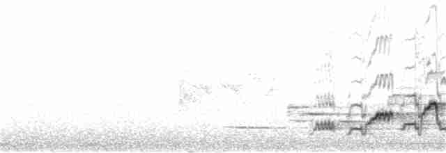Дрізд-короткодзьоб Cвенсона - ML247407911