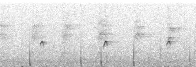 Gray-streaked Honeyeater - ML247411