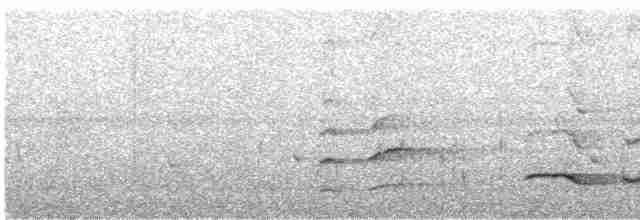 Серёжчатый медосос - ML247413
