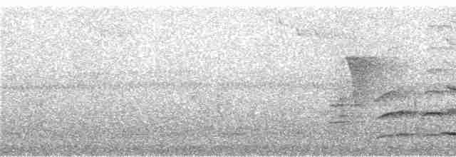 Серёжчатый медосос - ML247418