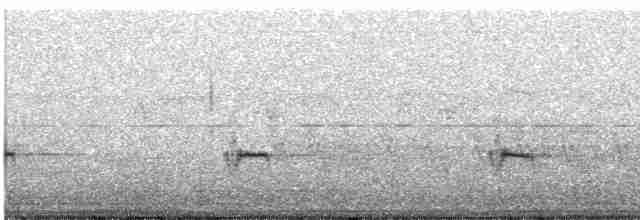 Піранга жовтогуза - ML247436811