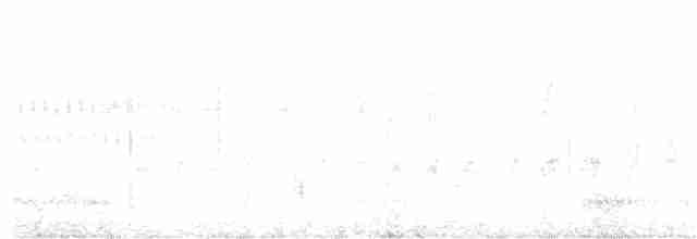 Sinsonte Norteño - ML247437011