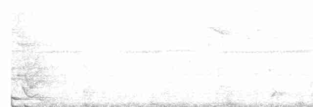 Montezuma Oropendulası - ML247438561