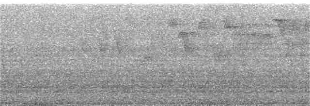 Тихоокеанский крапивник - ML247491121