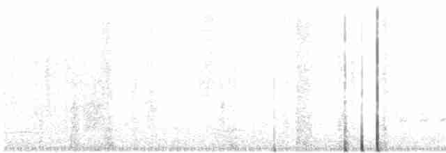 Pileated Woodpecker - ML247513121