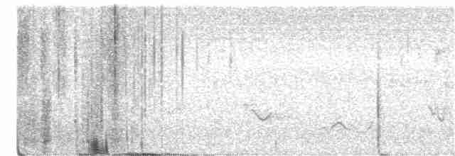 Trogon élégant - ML247513671
