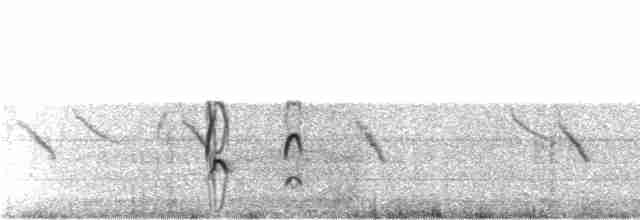 Hudsonian Godwit - ML24752141