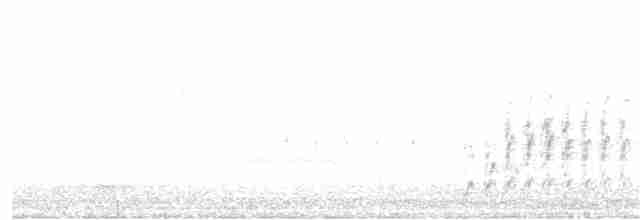 Прерийный кроншнеп - ML247524531