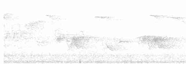 Cerulean Warbler - ML247527341