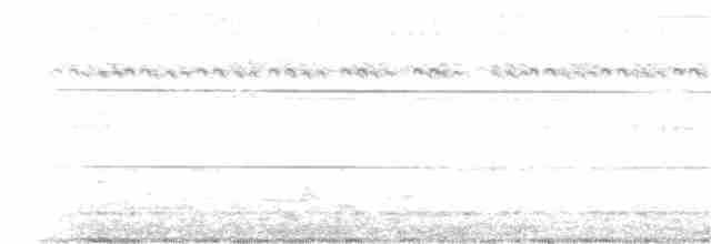 Кукавка сіровола - ML247528501
