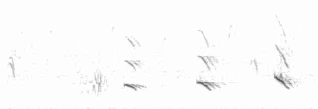Fischadler (carolinensis) - ML247529911