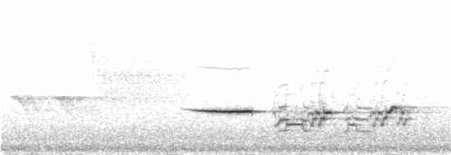 eremittskogtrost (auduboni gr.) - ML247555181