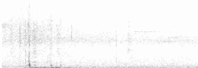 prikkronetreløper - ML247555211