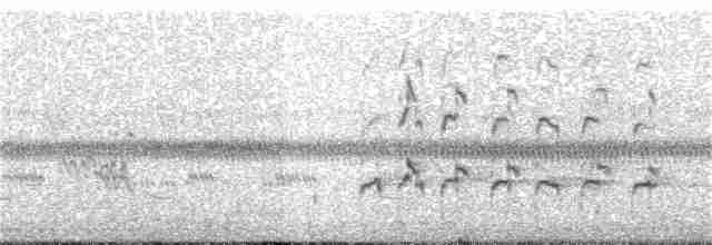 Kuliska hankahori handia - ML247570281