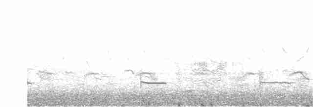 Common Redshank - ML247580531
