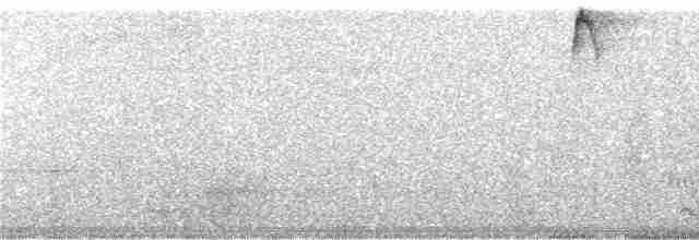 Kadife Karınlı Dağ Kolibrisi - ML247588