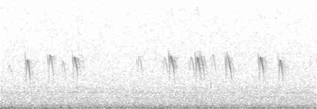 "Шишкар ялиновий (Western Hemlock, або тип 3)" - ML247612091