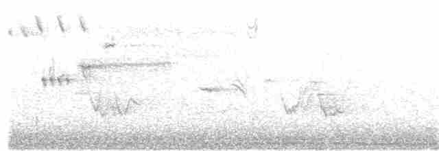 Кузнечиковая овсянка-барсучок - ML247692601