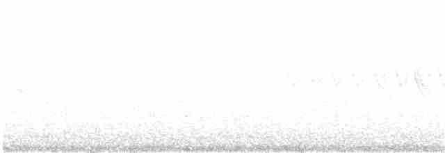 Turuncu Ardıç - ML247701551