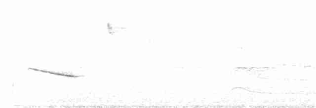 Mavi Enseli Klorofonya - ML247720901