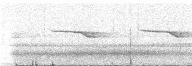 Band-winged Nightjar (Rufous-naped) - ML247782