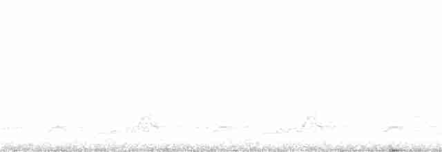 Schwarzkehl-Nachtschwalbe - ML247787131