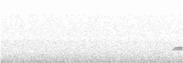 Дрізд-короткодзьоб Cвенсона - ML247798021
