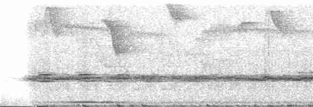 Black-banded Woodcreeper (Spot-throated) - ML247816