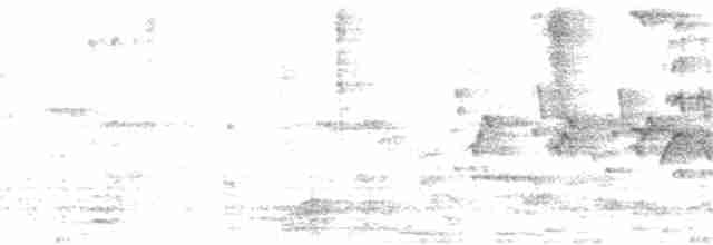 gulnebbskriketrost - ML247852101