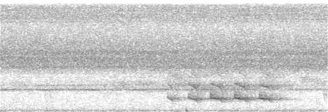 Turuncu Göğüslü Trogon [dulitensis grubu] - ML247875821