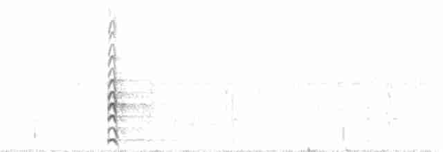 Common Gallinule - ML247887861