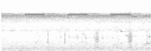 Серогрудый коростелёк - ML247888971