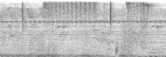 Colibri jacobin - ML247939