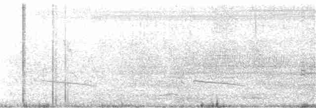 Gray-bellied Cuckoo - ML247978281