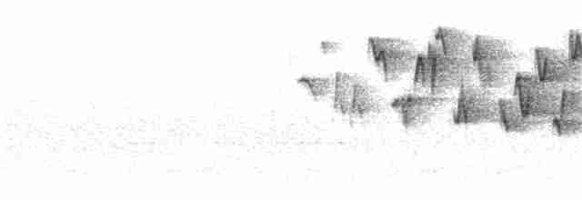 Troglodyte de Baird - ML247979611