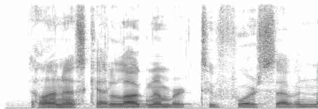 Papamoscas de Ceilán - ML24798