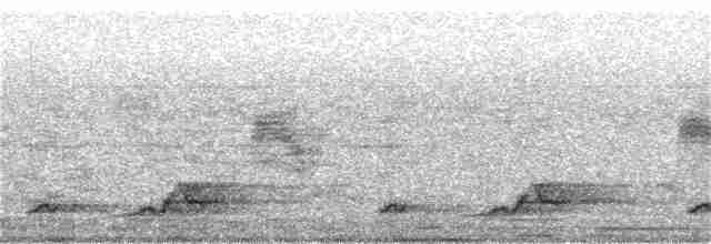 Schwarzkehl-Nachtschwalbe - ML248012621