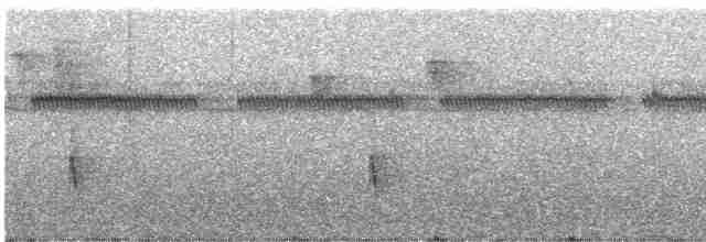 Kestane Karınlı Ardıç - ML248023