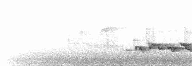 Rufous-browed Peppershrike (Chaco) - ML248032511