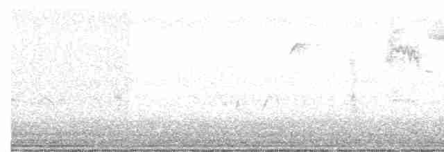 Black-capped Chickadee - ML248039881