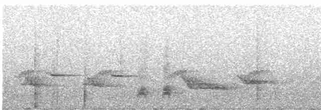 Kestane Karınlı Ardıç - ML248067