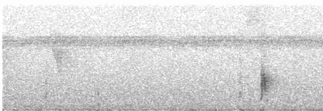 Белокрылый крапивник - ML248078