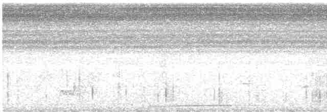 Талпакоті строкатоголовий - ML248080921