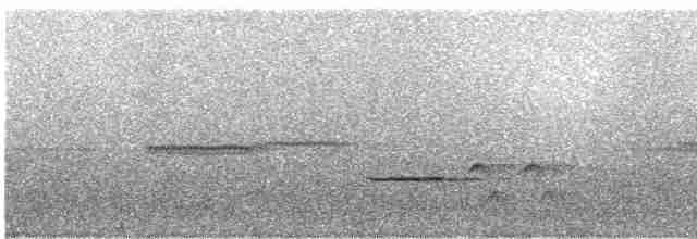 Kestane Karınlı Ardıç - ML248086