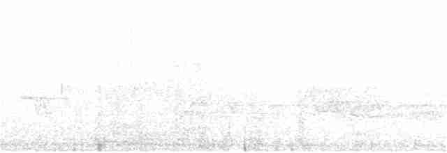 Cerulean Warbler - ML248093871
