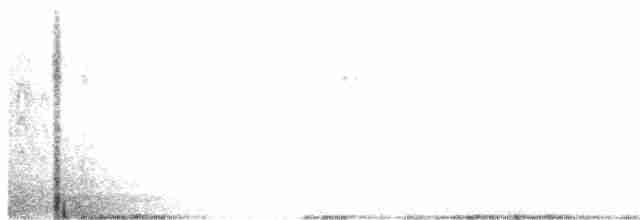 Yellow-billed Tern - ML248110271